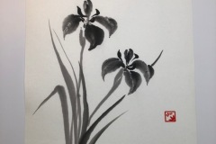 Iris-Sumie-2023
