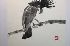 Kakadu-Sumie-2022