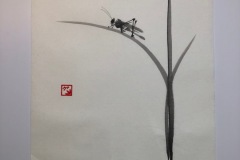 Lucni-konik-Sumie-2023