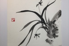 Orchidea-Sumie-2023