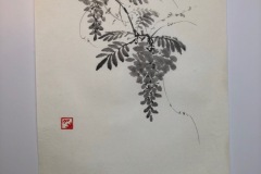 Vistarie-Sumie-2023