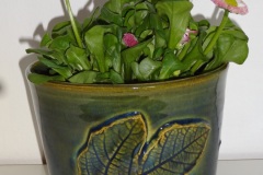 2005 - Sedmikráska